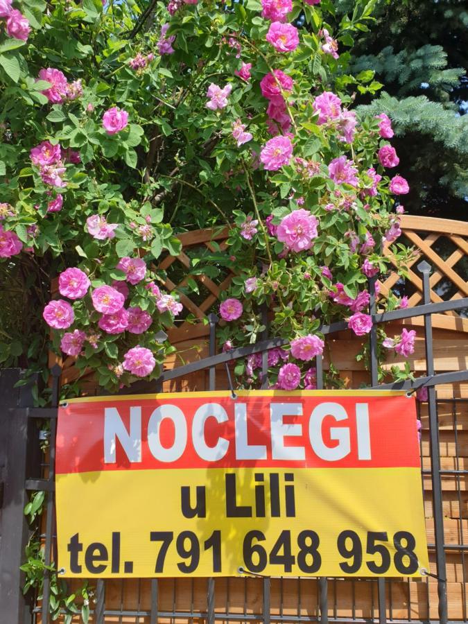 Noclegi U Lili Члухув Екстер'єр фото